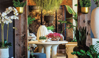 Florida Design Issue - From Staging to Showroom: The Vision Behind Casawow