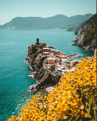 46x58 La Spezia Shore Framed Artwork