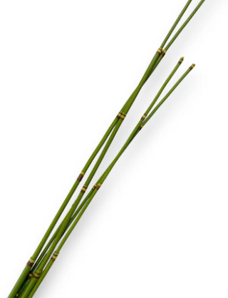 32" Bamboo Stick x6