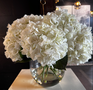 Large Hydrangea Arrangement