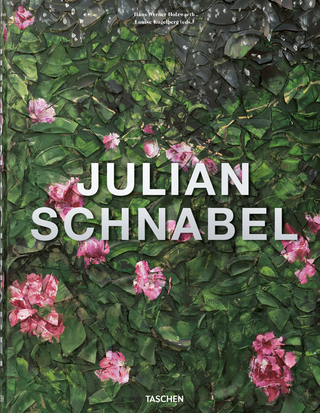 Julian Schnabel, Book