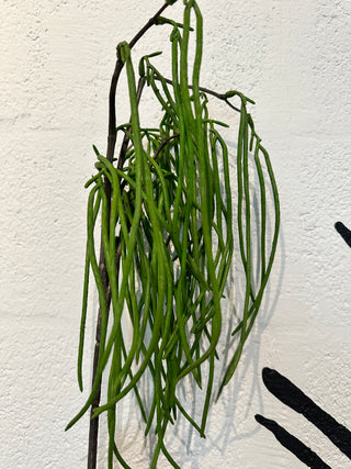 Willow Spray 35'' Pick