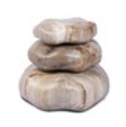 4H petrified wood organic sculpture