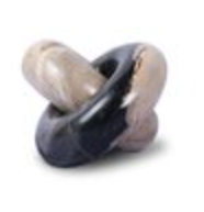 4H petrified wood knot