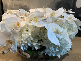White Orchid Hydrangea Bowl Arrangement