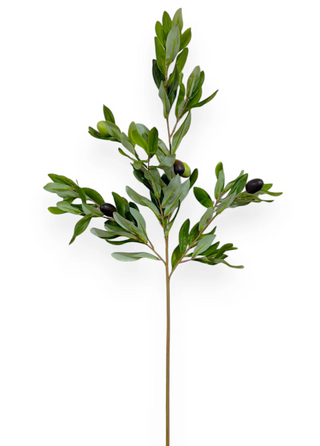 32" Olive Branch