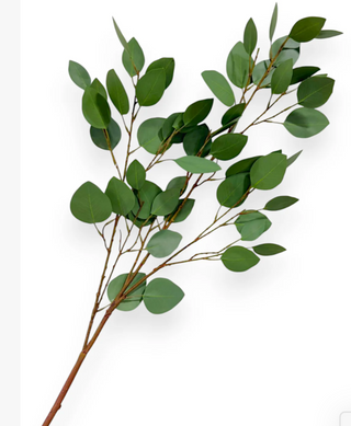 42" Heart Eucalyptus Stem