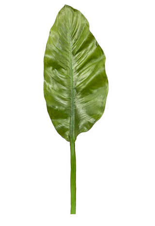 44" Bird of Paradise Leaf
