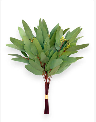 16” Seeded Eucalyptus Long