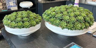 White Pedestal Succulent Bowl