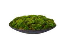 20'' tysen metal bowl with mood moss