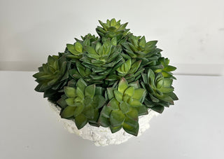 White Knotted Succulent Arrangement