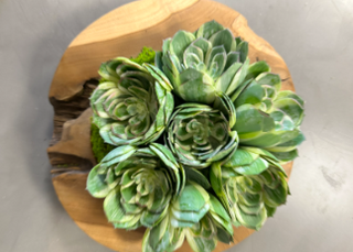 Succulent Teak Bowl