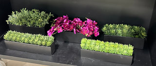 Succulent Planter Arrangement