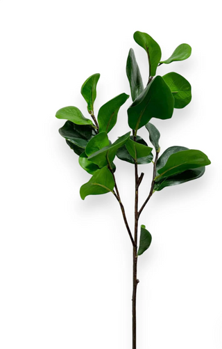 29" Fiddle Leaf Spray