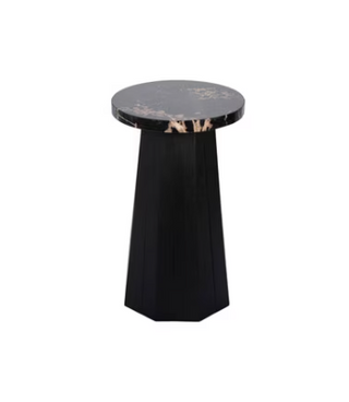 Petrified Wood Top  Accent Table