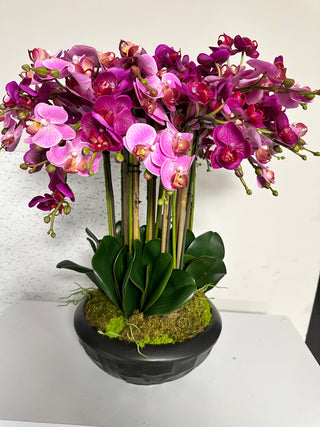 Fushia and Pink Orchid Black Bowl Arrangement