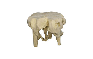 Teak Wood Bleached Coffee Table